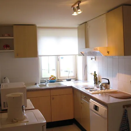 Tatil Evi Bordo Village *